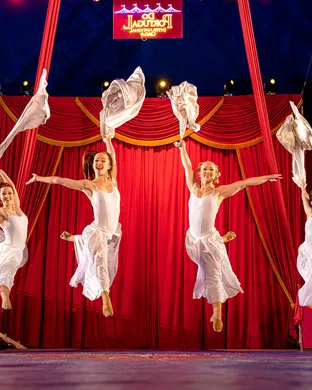 Do Portugal Circus