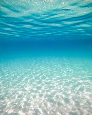 The Ocean Blue Cedar Falls