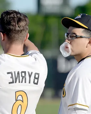 Willmar Stingers Waterloo
